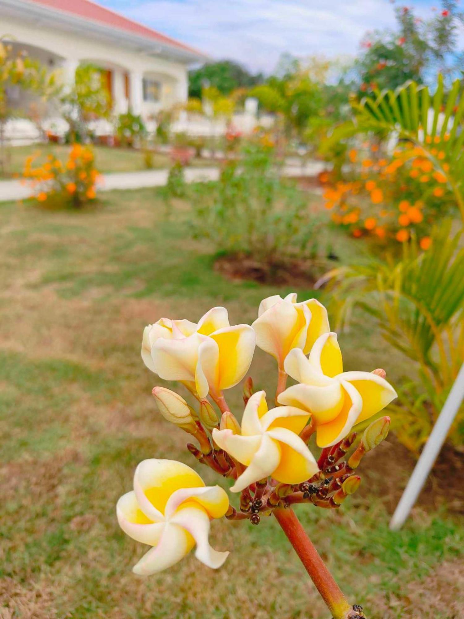 The Kubo Gardens Hotel San Juan  Exterior photo